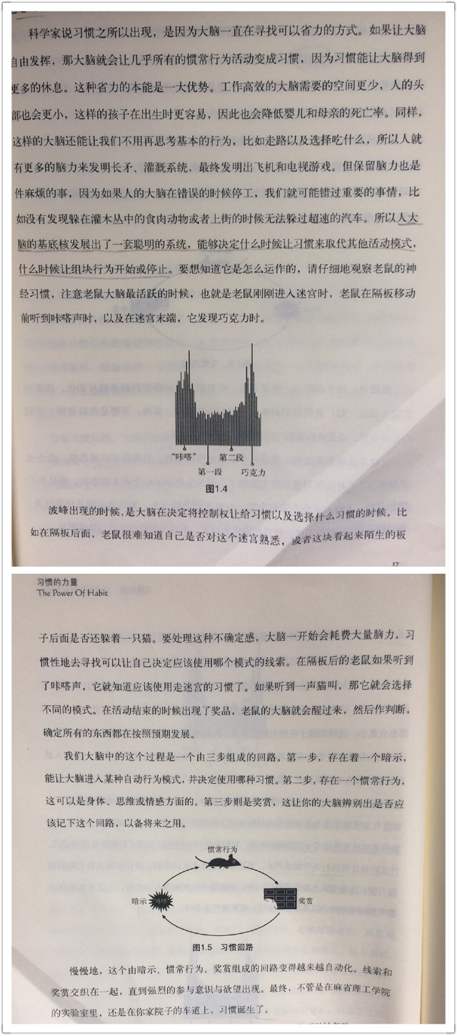 拆页一.jpg